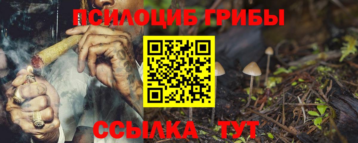 Псилоцибиновые грибы Psilocybe  Вход с VPN  Тейково  Галлюциногенные грибы мухоморы 